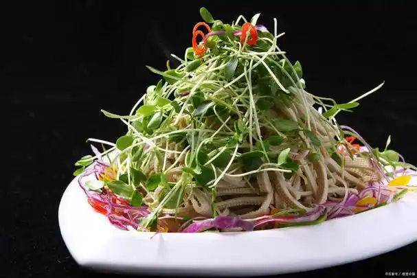 最火的二十道凉菜,怎么快速简单做凉菜?