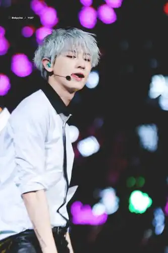 朴灿烈 灿烈exo chanyeol 银发 蝴蝶少女