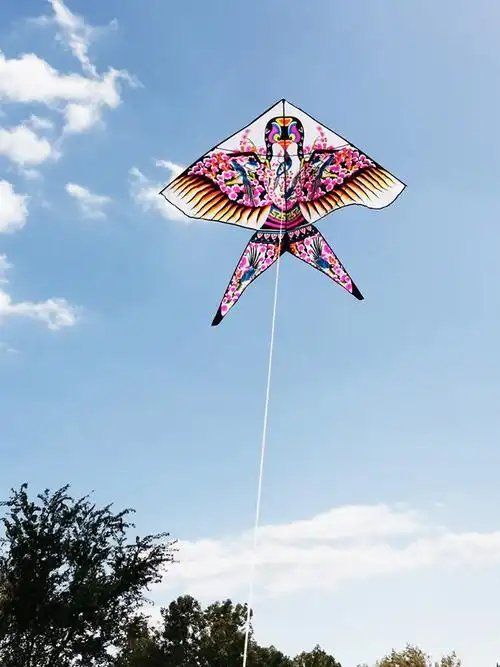 厂家批发小燕子沙燕风筝新款潍坊儿童成人大中小型三角长尾易飞