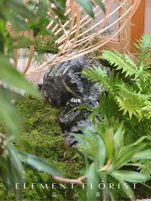 绿植水景室内造景|藏在美容院里的森系景观