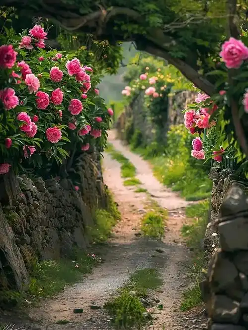 治愈系美图:扑面而来的春天