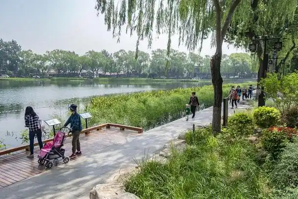 东堤公园是一个美丽的公园,位于天津市滨海新区.