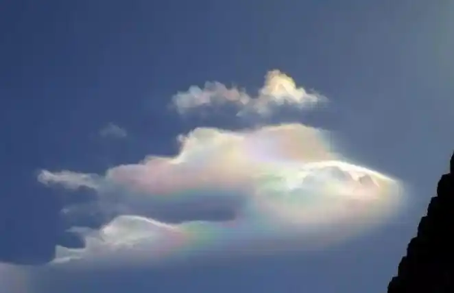 我们像佛光中他结出的籽江楠诗合辑之七