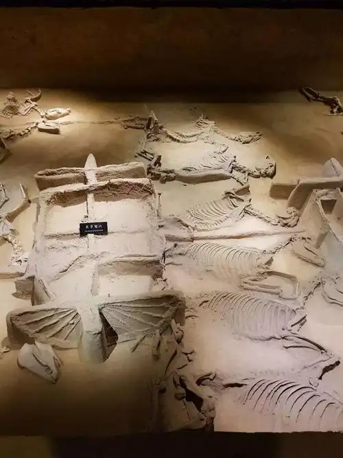 42,西王村遗址(新时期时代)西王村遗址位于洛宁县赵村乡西王村.