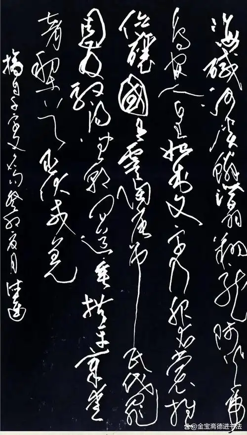 张德进硬笔书法——草书