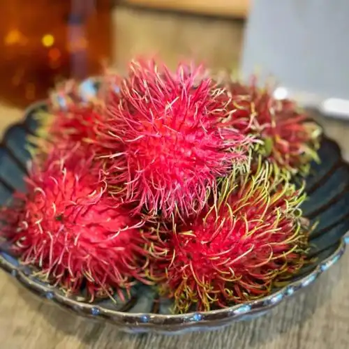 泰国水果红毛丹