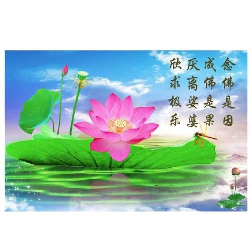 西方极乐世界莲花荷花壁画花卉图荷叶房间玄关走道装饰贴墙画