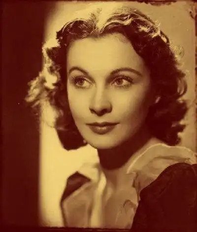 费雯丽的一套图