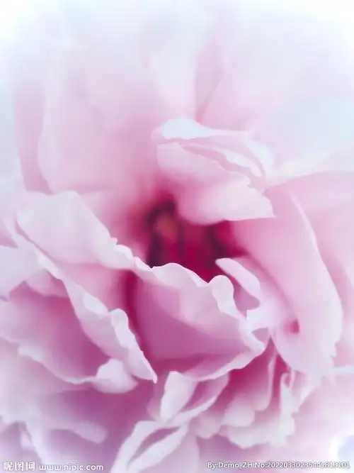 粉色花朵背景设计图__图片素材_其他_设计图库_昵图网nipic.com