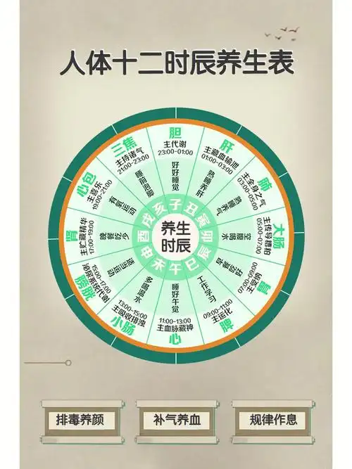 十二时辰养生法24小时对照表建议收藏