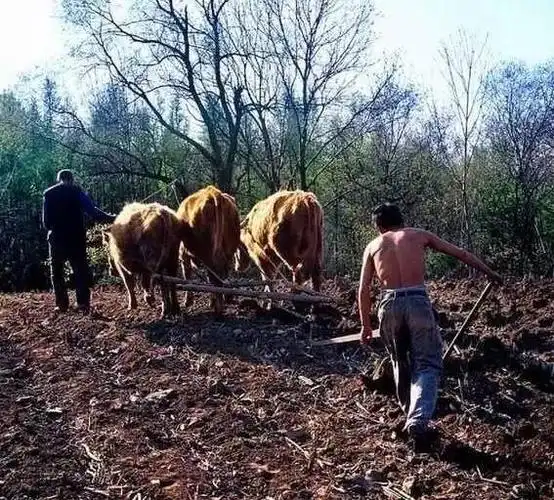 70,80年代农村生活 回忆满满