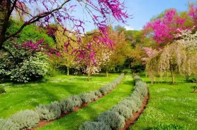 世界最美花园意大利宁法花园