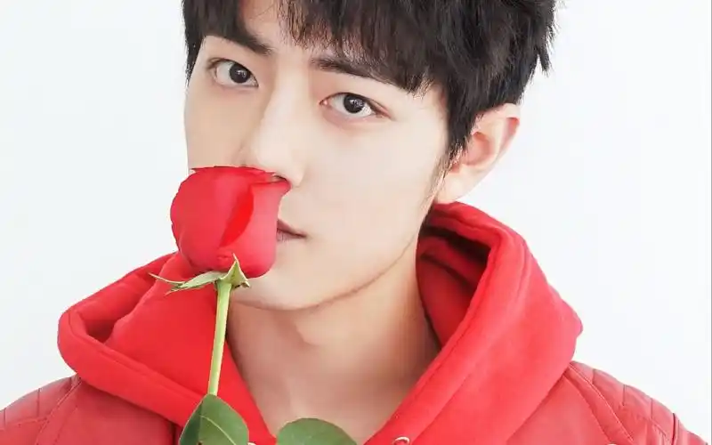 肖战2018年春晚倒计时歌曲表演新年快乐