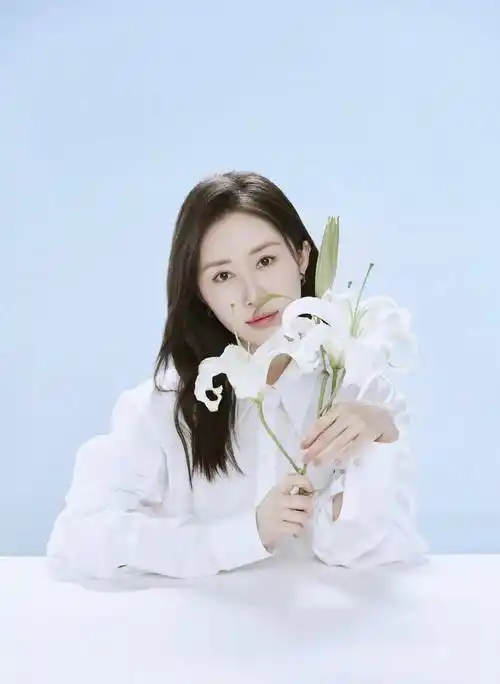 明星舒畅写真珍藏:玉貌花容,清丽秀雅