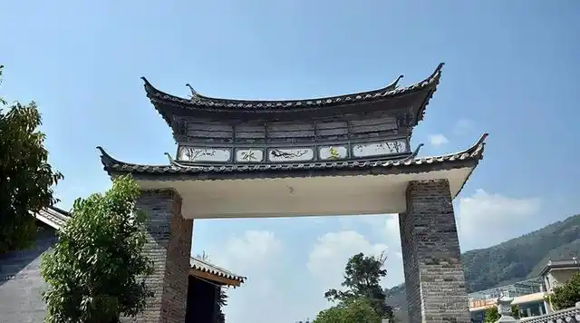 6万一公斤冰岛老寨!价格远超西湖龙井!普洱茶,凭啥那么贵?