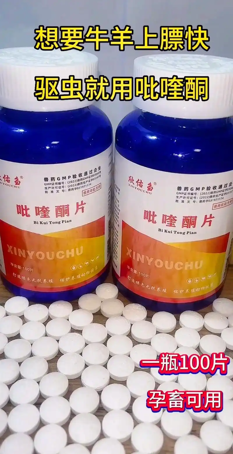 猪牛羊驱虫吡喹酮孕畜可用#抖音助农 #牛羊养殖 #农村养羊