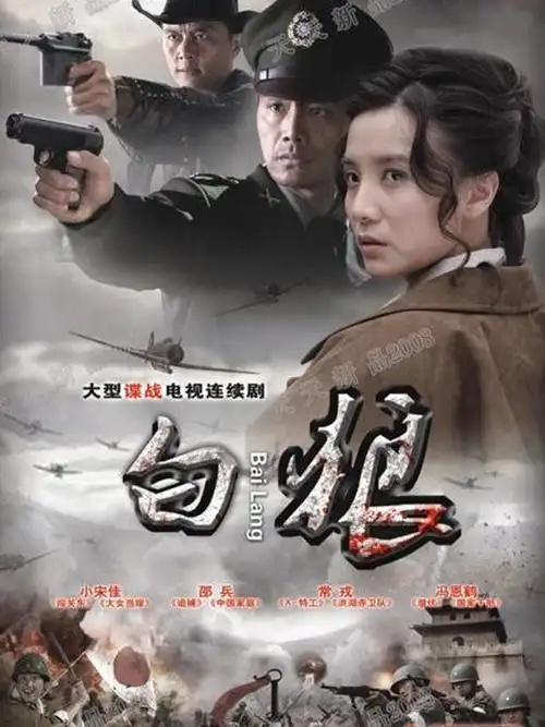 2010谍战电视剧-电视剧大全-电视剧频道-百搜视频