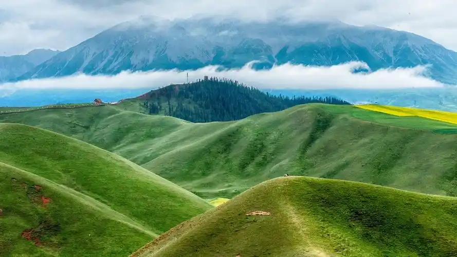 中国八大最美草原任你选