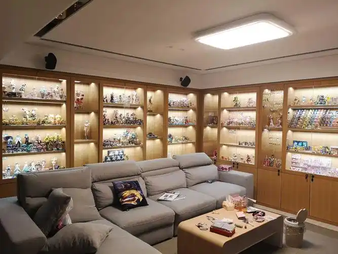 如果亲戚家的孩子看上了你的手办,想带回家,你会怎么办?