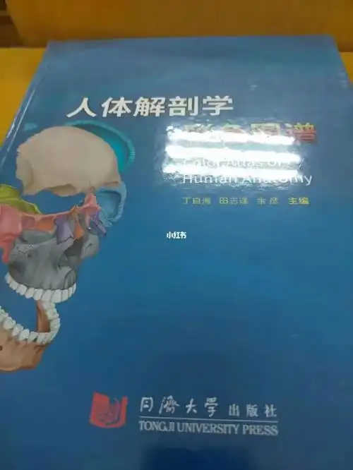 魂断蓝桥vs蓝色生死恋