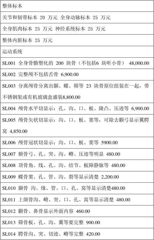 人体标本价格表
