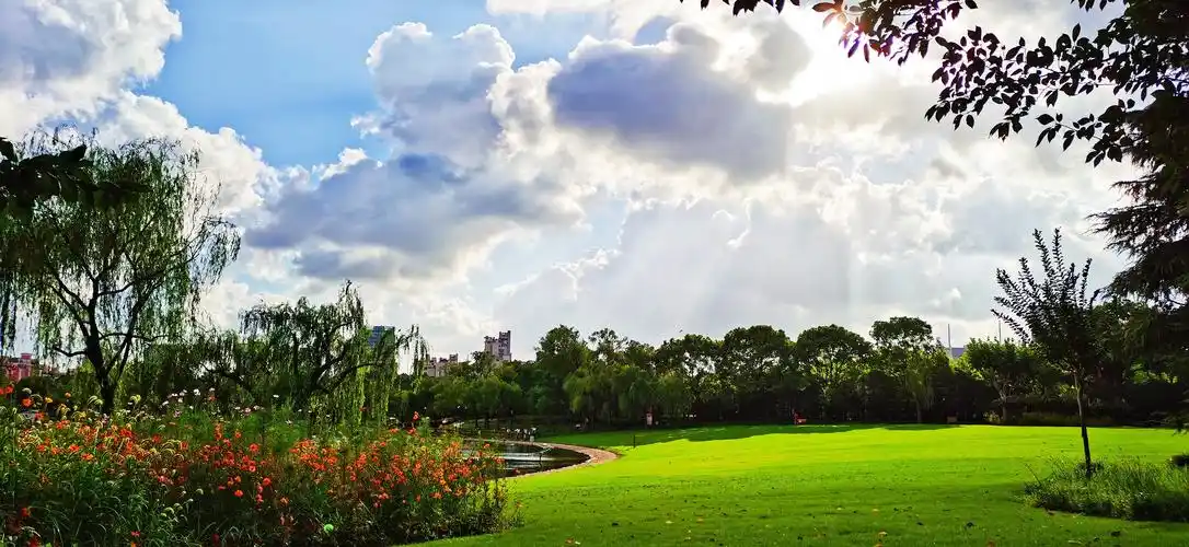 蓝天白云下的公园美景