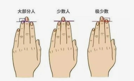 你的食指比无名指长吗?