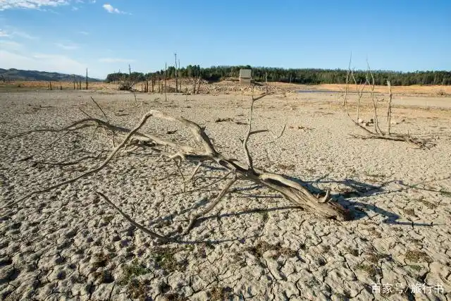 缺水的非洲国家:国民被限制用水,希望游客在90秒内洗完澡