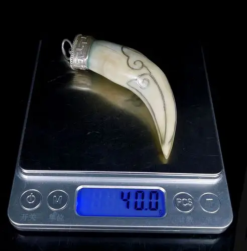 佚名 老虎牙镶银胸坠