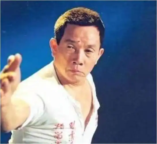 成龙|李连杰|刘家良|洪金宝|惠英红|甄子丹_网易订阅