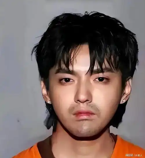吴亦凡现状曝光在监狱度过14年自由时光出狱后将面临化学阉割