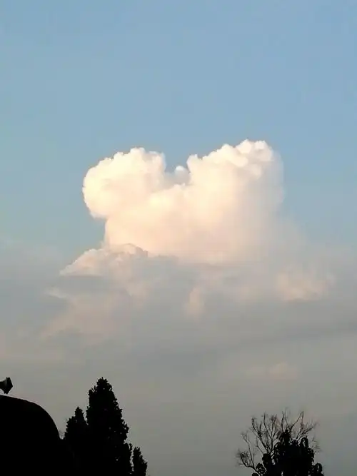 记录今天下午多变的云朵图