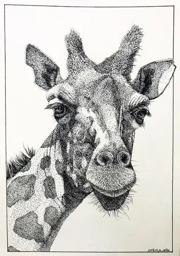 针管笔点绘长颈鹿1f9921f9921f992|纯艺术|绘画|图南tunan - 原创作品