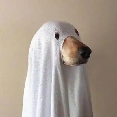 抖音头像搞怪 高清适合抖音用的搞怪头像图片合集精选_搞笑头像_美头