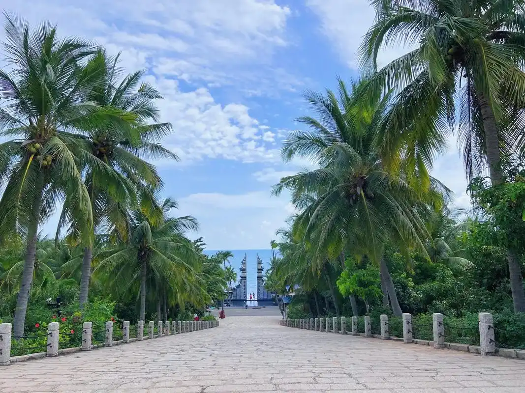 心心念念的海边 心心念念的椰子树#海南 #夏天 #治愈系风景 - 抖音