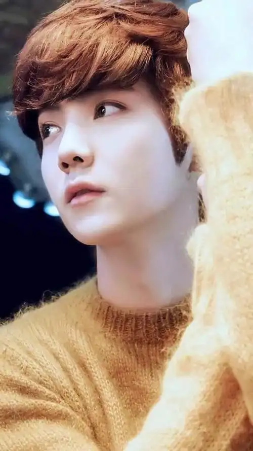 水印 禁二改 鹿晗 韩国大势男团exo的前成员 是个很正能量的中国帅