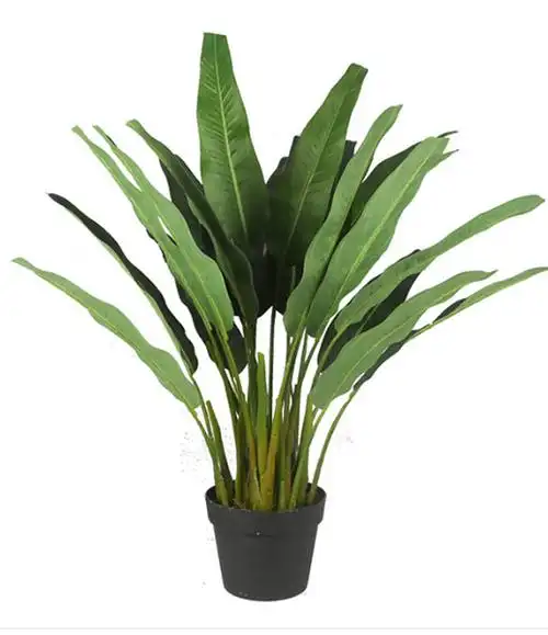 仿真天堂鸟仿真小旅人蕉