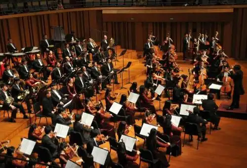 安徽乐团云上音乐会弦乐合奏专场《四季》 - 演出信息 - 安徽乐团