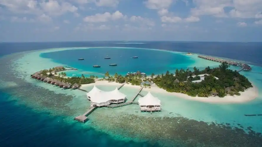 马尔代夫执政党人民国家大会党以压倒性优势赢得议会选举,外交部回应