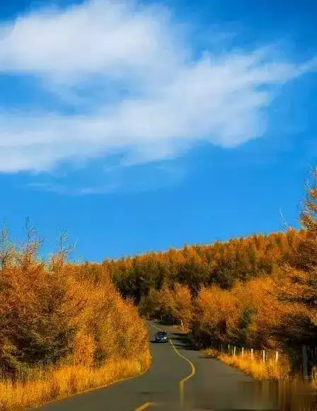 g111称得上是中国最美最富有的景观大道.