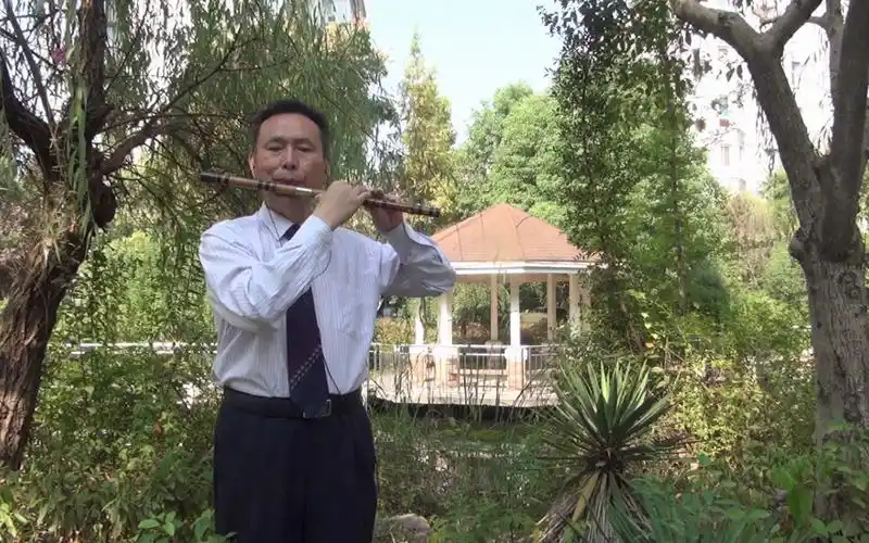 我的祖国笛子独奏琴台乐坊