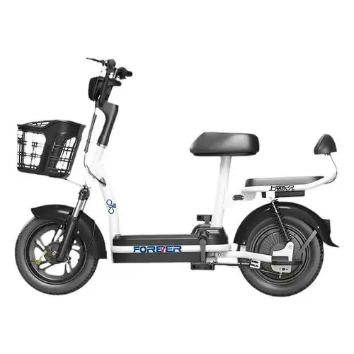 永久新国标电动自行车新款电动车男女小型亲子电瓶车代步双人电车