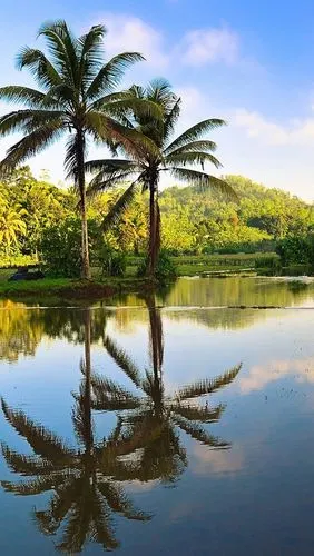 640_1136竖版 竖屏