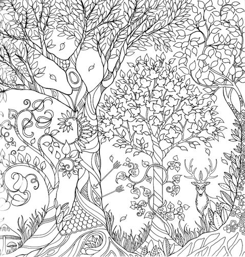 魔法森林秘密花园成人减压学生休闲娱乐涂鸦绘画填色本涂色画画本