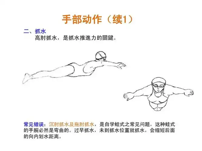 蛙泳技巧图解