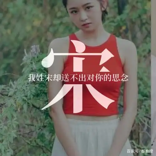 宋姓人口约1120万,看看它的12张姓氏头像,有没有符合你口味呢?