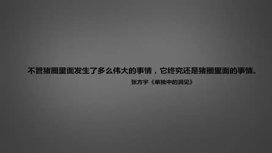 文字语录张方宇单独中的洞见文字控壁纸