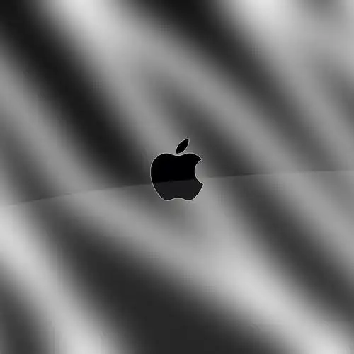 设计,黑白苹果logo