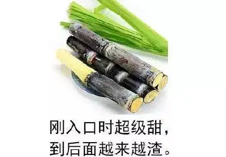 甘蔗男是什么意思优质