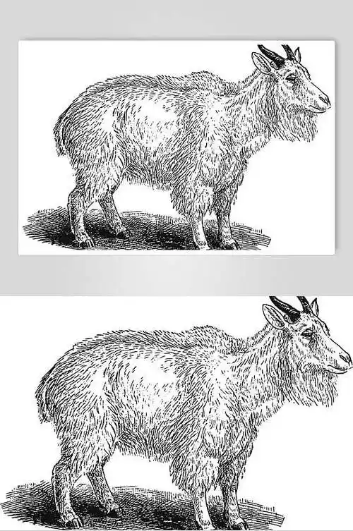 羚羊黑色简约动物素描手绘矢量素材